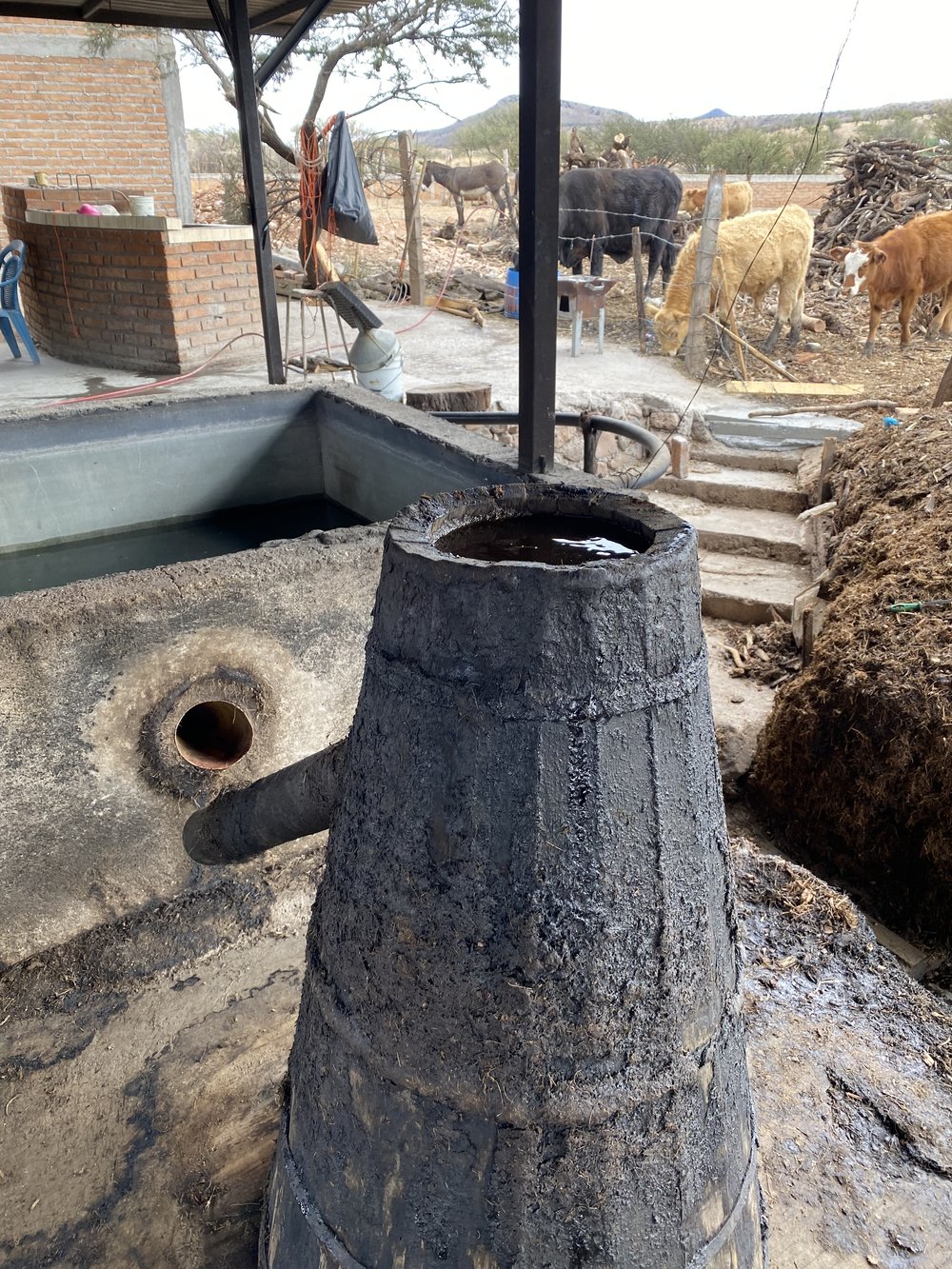 A wooden condensing chamber used for producing mezcal