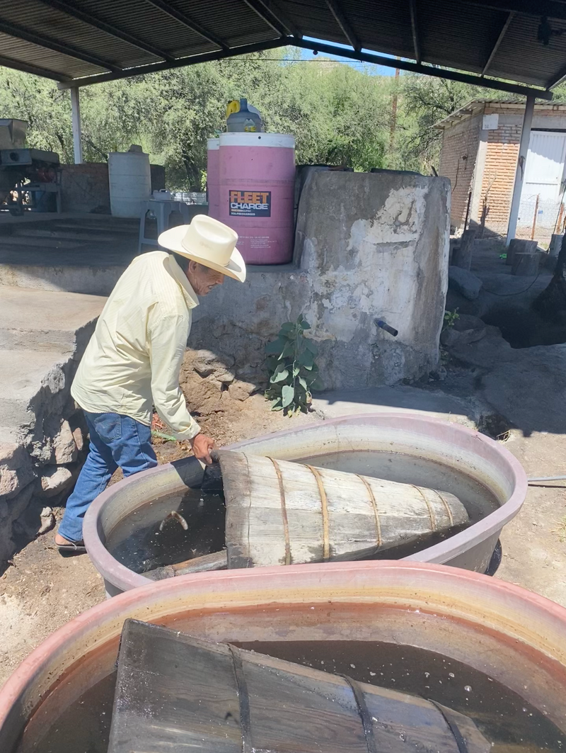 A man with a wooden condensing chamber for mezcal production