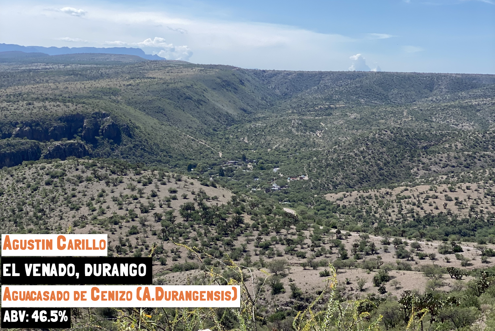 Main webpage image for the Biquix con Piña - El Guayabo mezcal