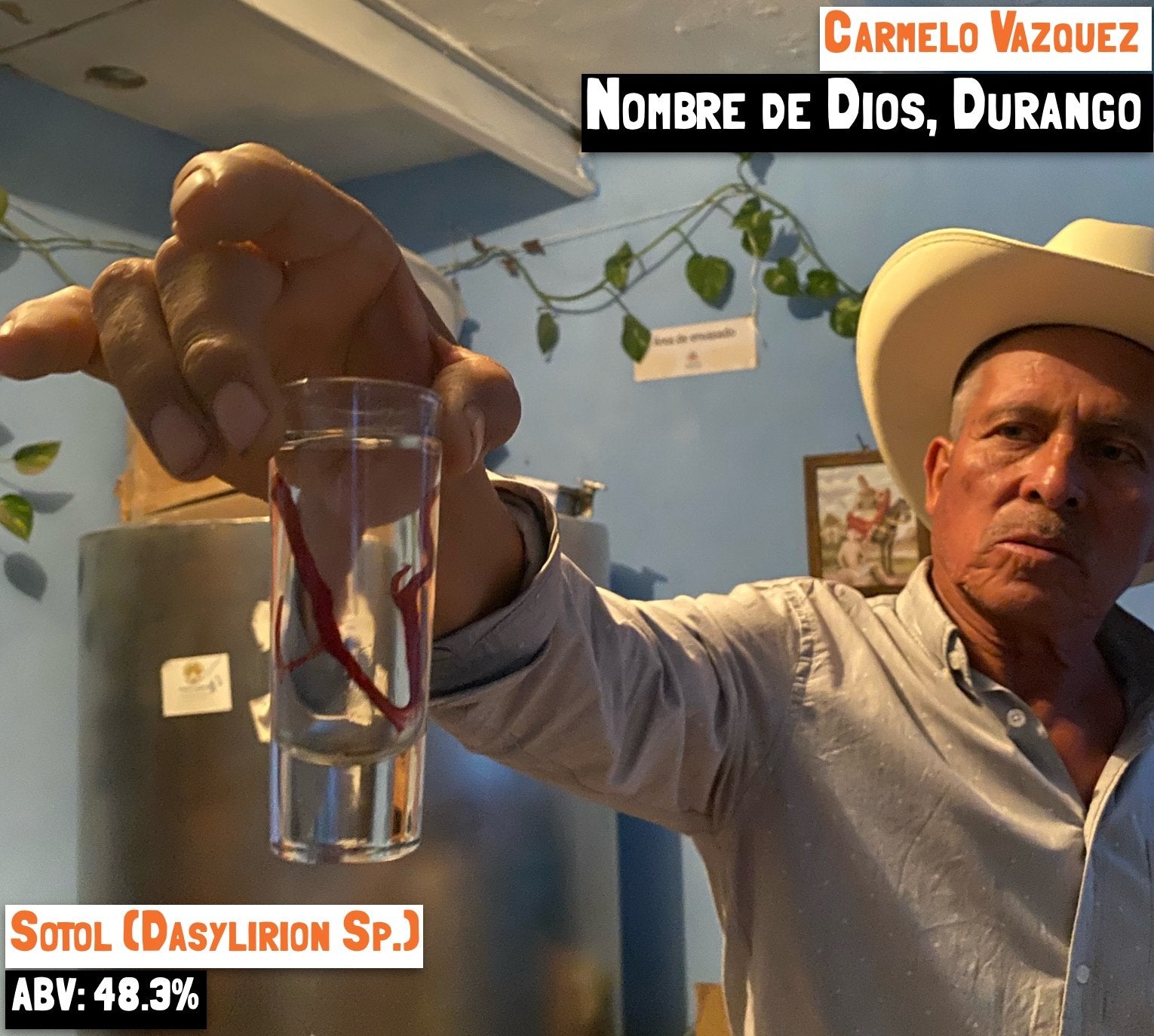 main image for the Sotol - nombre de dios mezcal page on the Sin Gusano project Mezcal Library