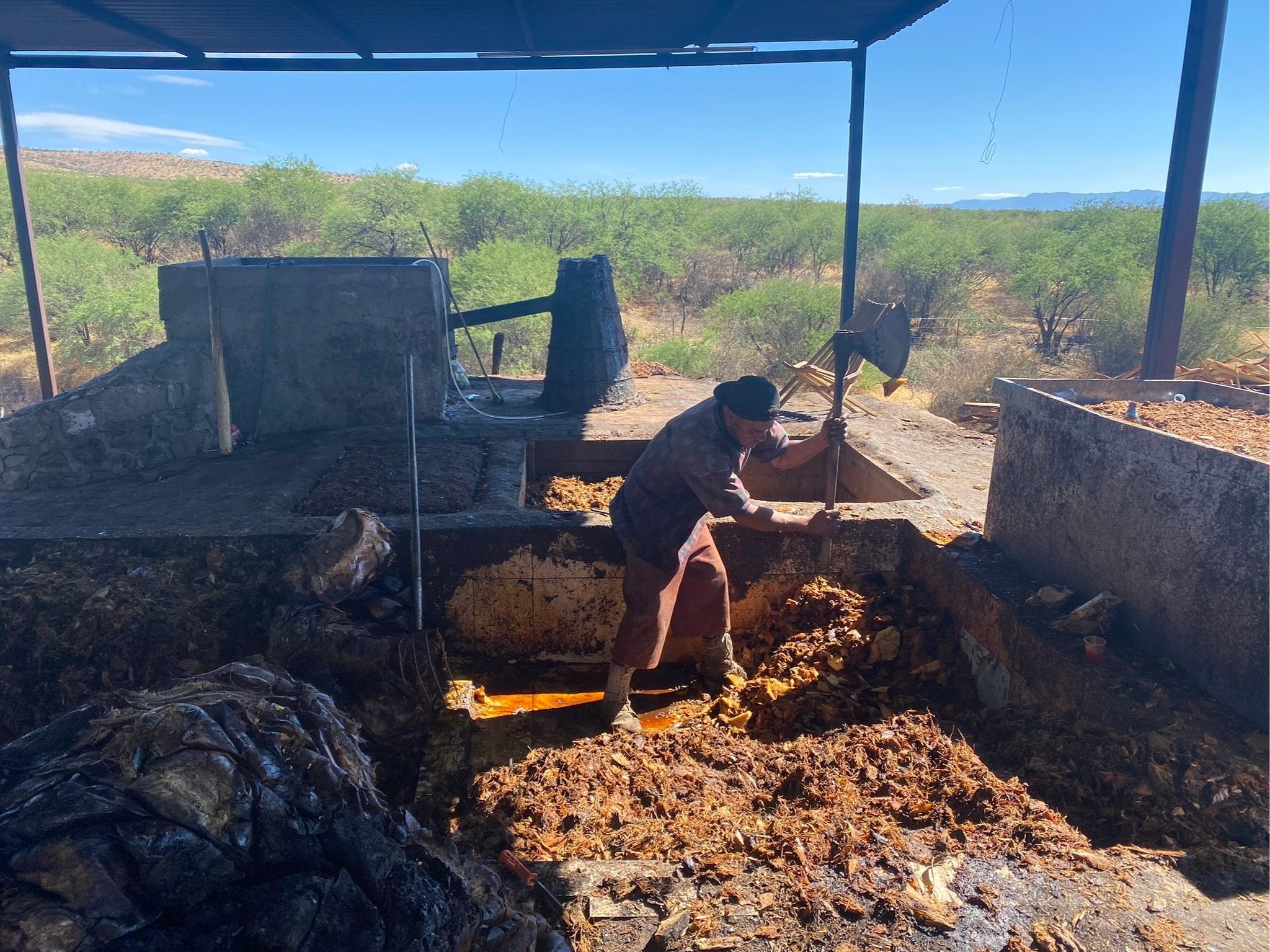 Agave being mashed entirely by hand-wielded axe for mezcal