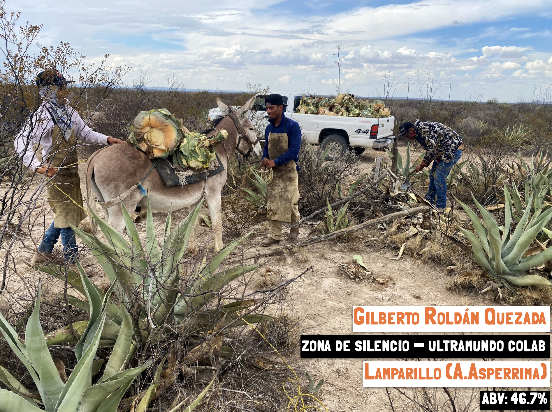 main image for the Lamparillo - Zona del Silencio mezcal page of the Sin Gusano website