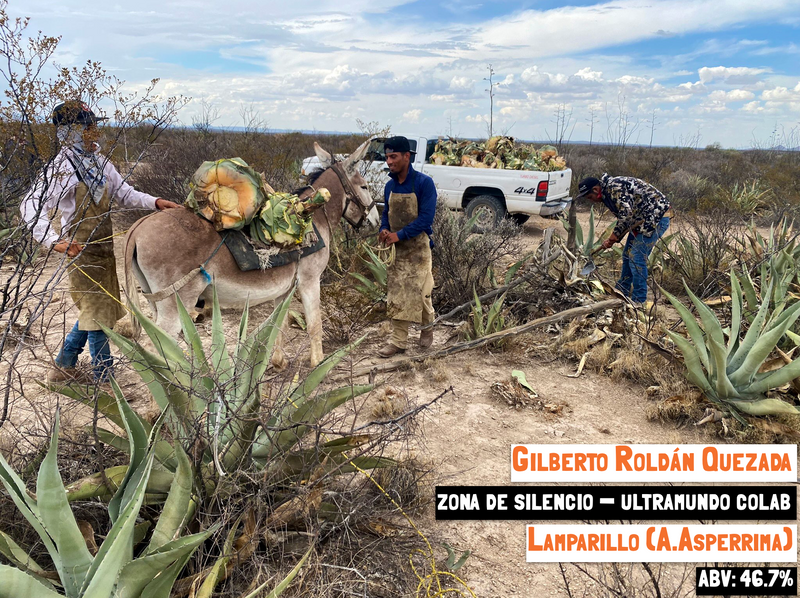 main image for the Lamparillo - Zona del Silencio mezcal page of the Sin Gusano website