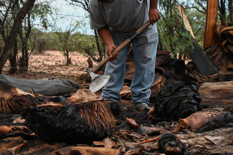 a man with an axe cutting agave for cooking to make mezcal
