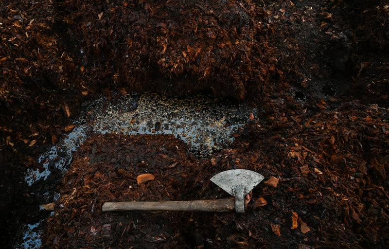 an axe laying on raw agave for the production of mezcal for the Sin Gusano project
