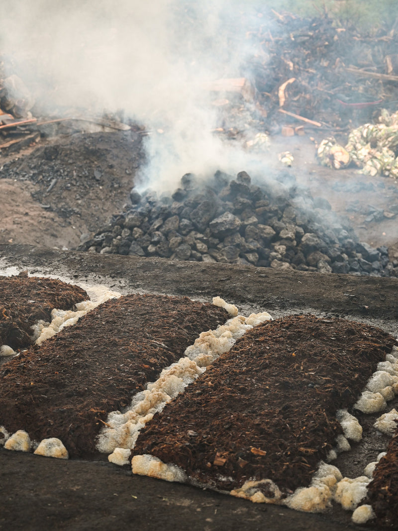 An outside oven and fermentation of mezcal