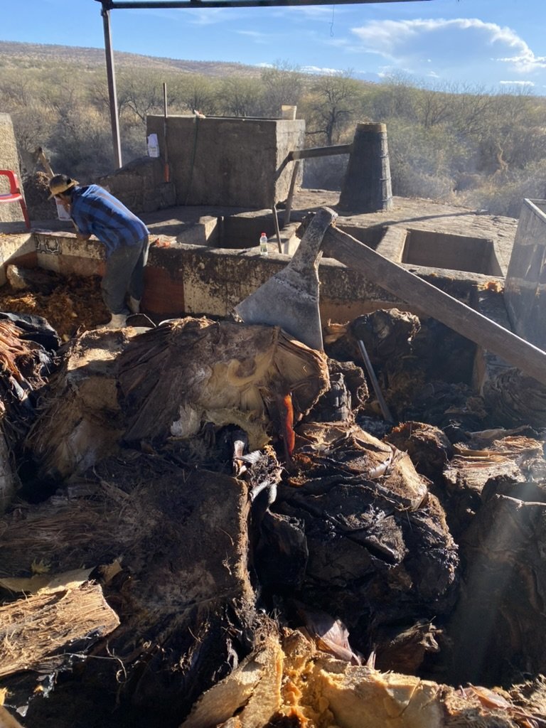 an axe left in a pina cooked and ready to make mezcal