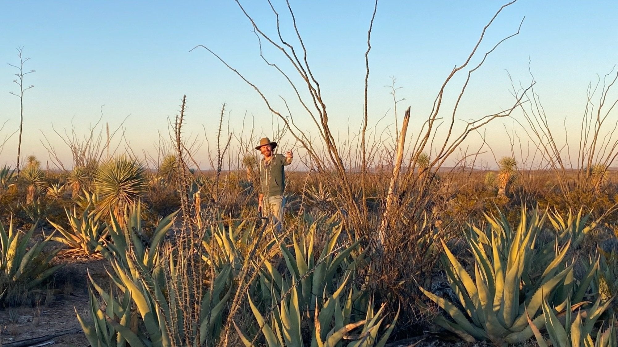 Jon Darby from the Sin Gusano project standing in a field of agave in Mexico on his search for mezcal