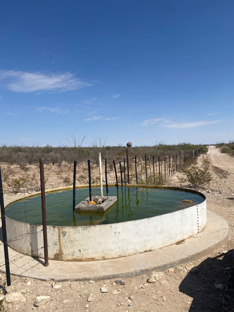 large pool of water used to make mezcal in Mexico