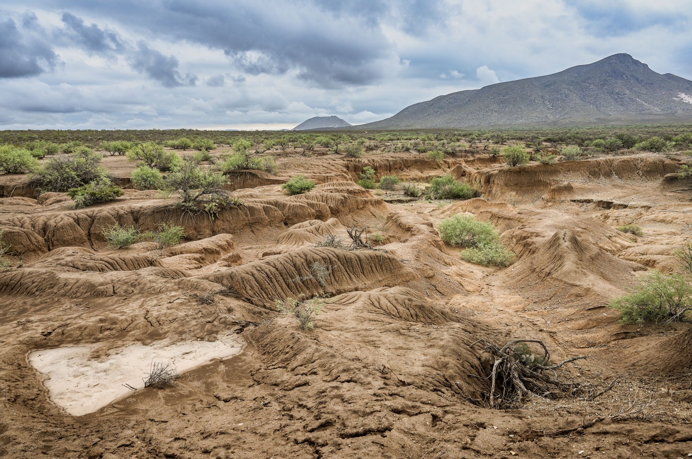 Mountain range in Mexico where Mezcal is made for the Sin Gusano project