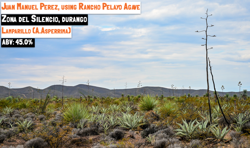 agave for mezcal in the front and a Mexican mountain range in the background