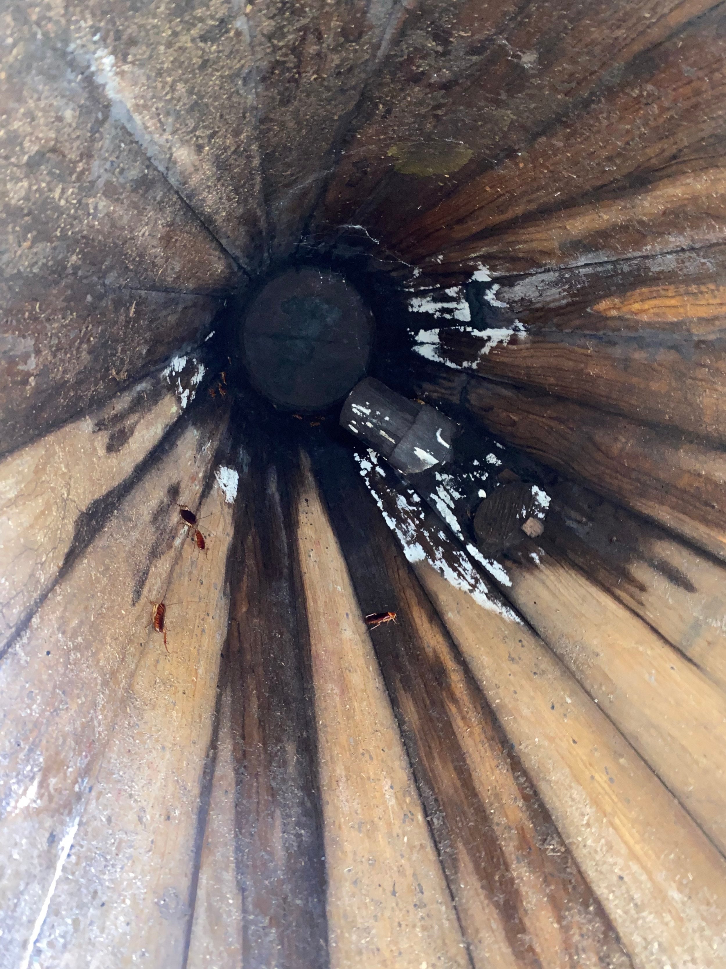 Looking up into the Dalek chamber used for making mezcal