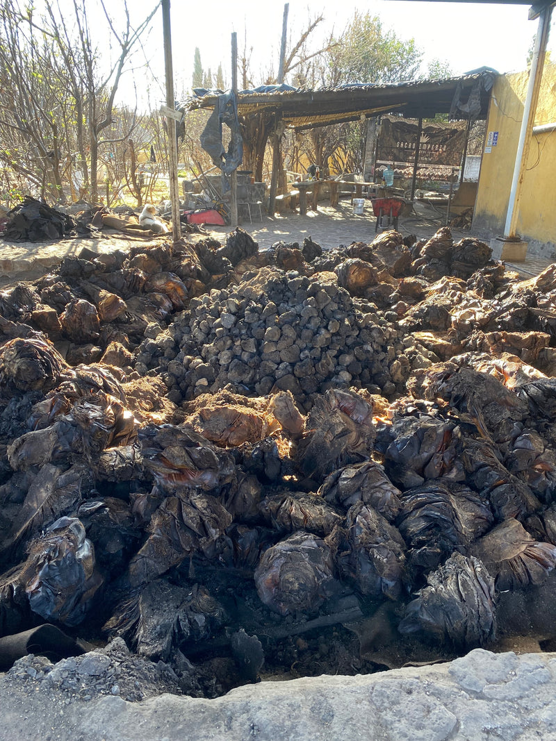 Oven at vinata Mal Pais for mezcal