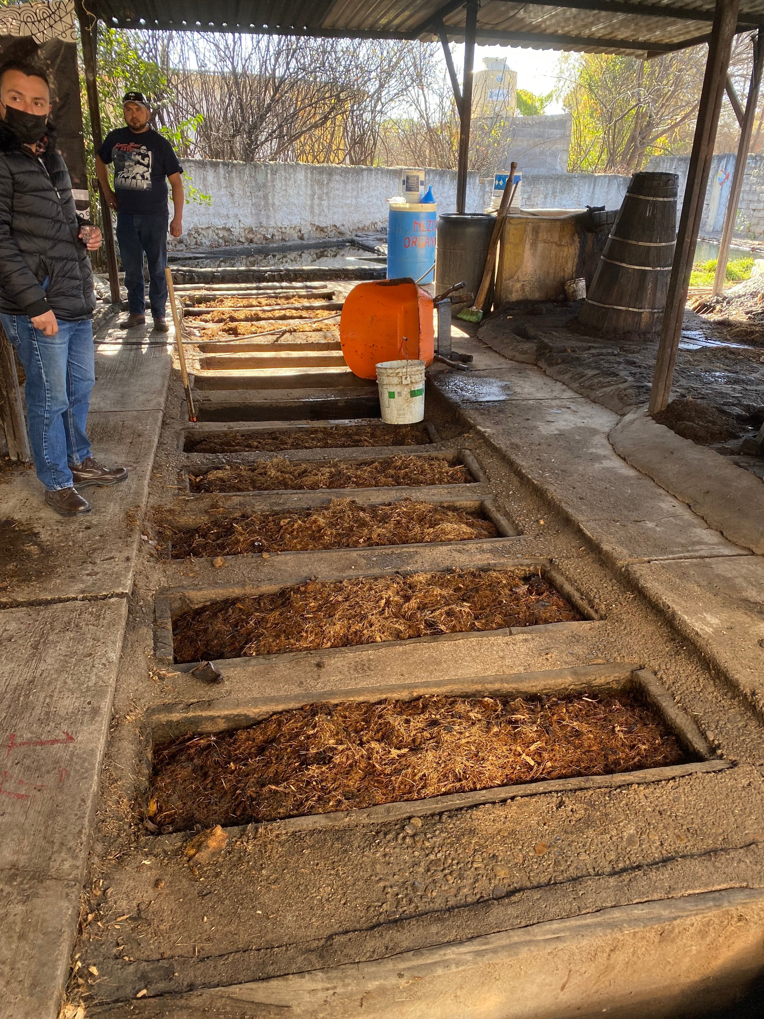 Fermentation pits - note the puffer jacket (it can be cold up north) for mezcal