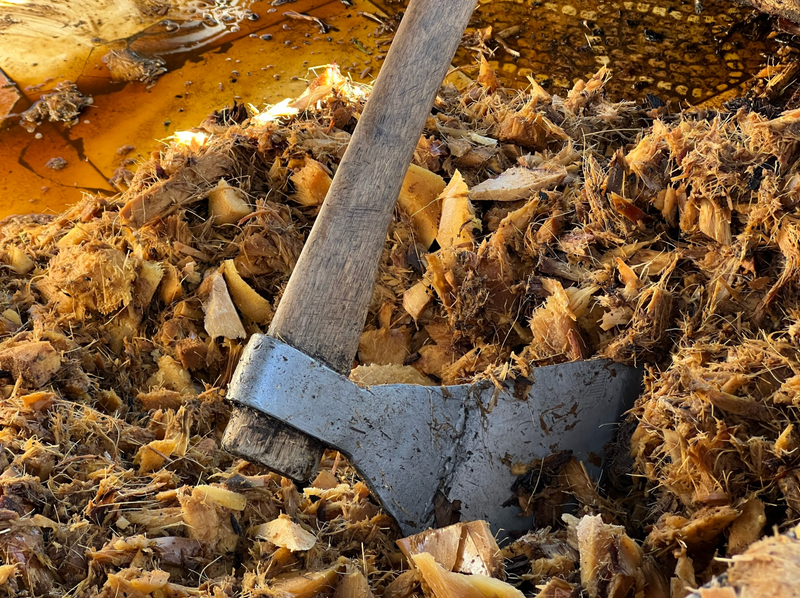 an axe laying in agave waiting to make mezcal