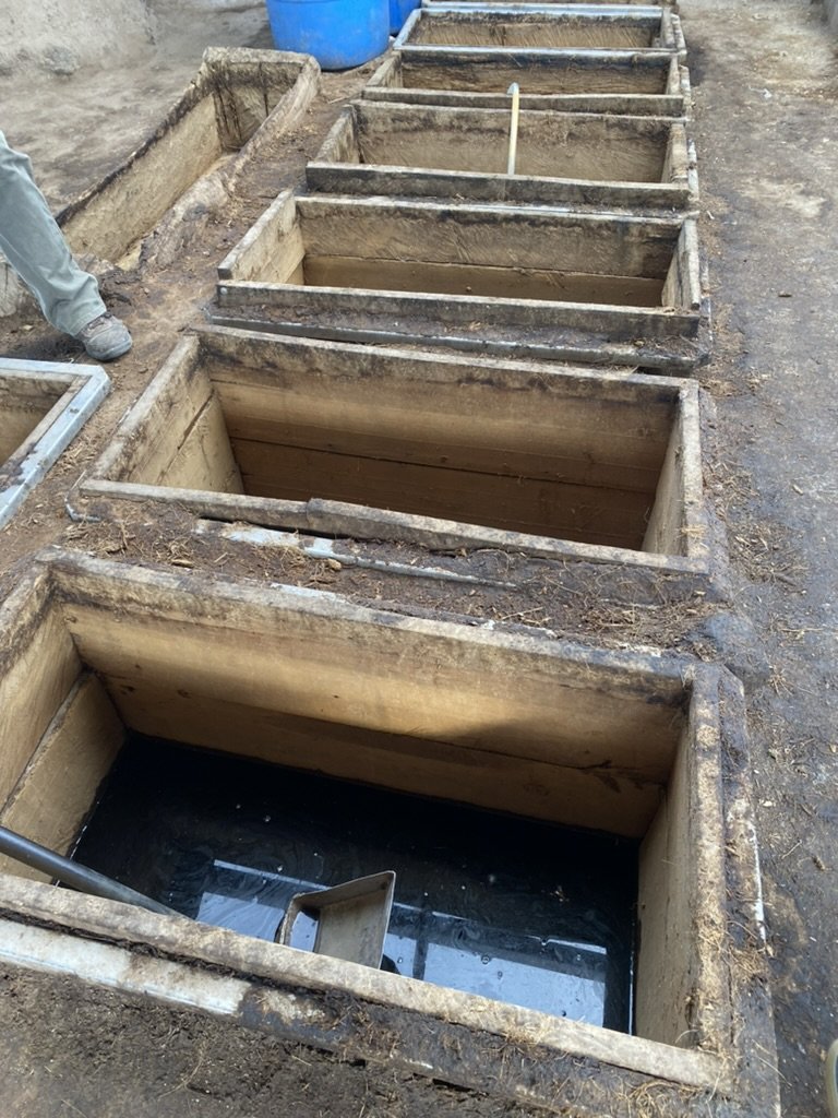 fermentation pits waiting to be filled with agave for mezcal production