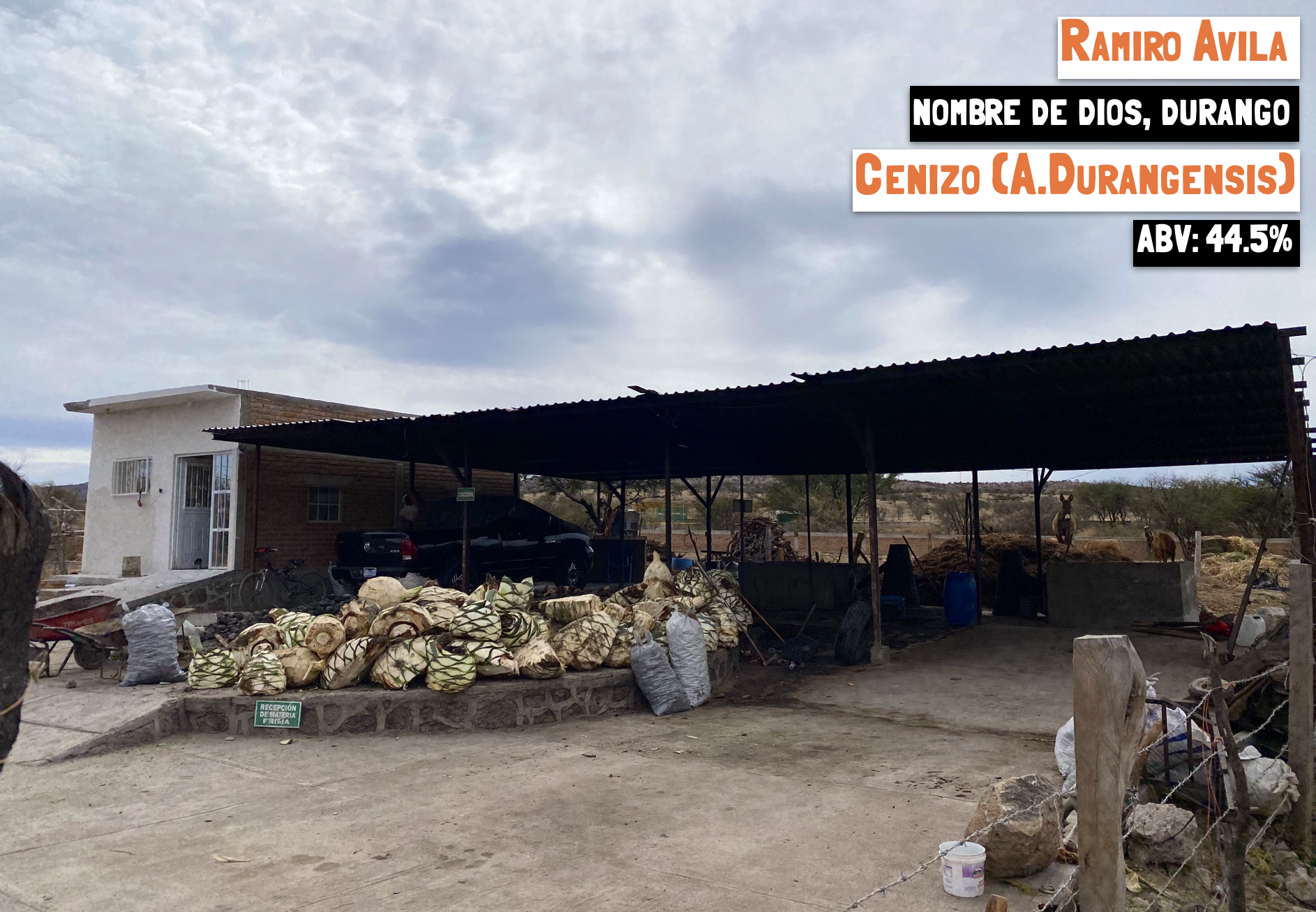 Main image on the Sin Gusano Mezcal Library webpage for the Cenizo - Nombre de Dios mezcal
