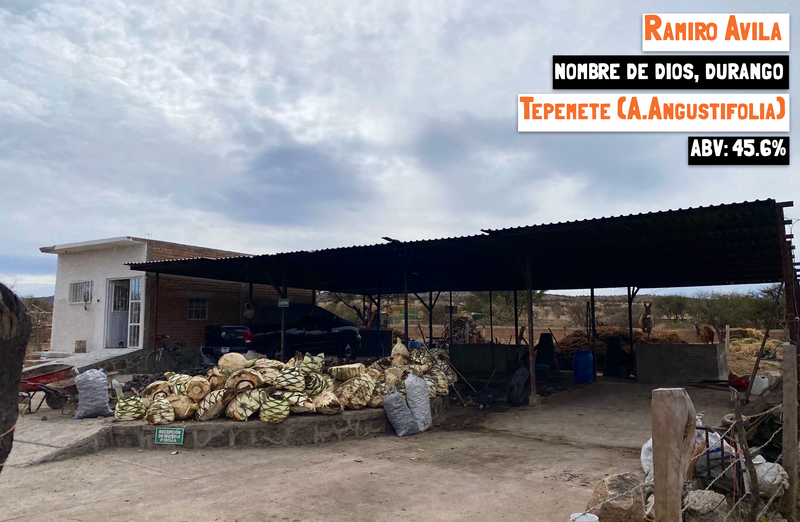 main image for the Tepemete - Nombre de Dios mezcal webpage of the Sin Gusano project website