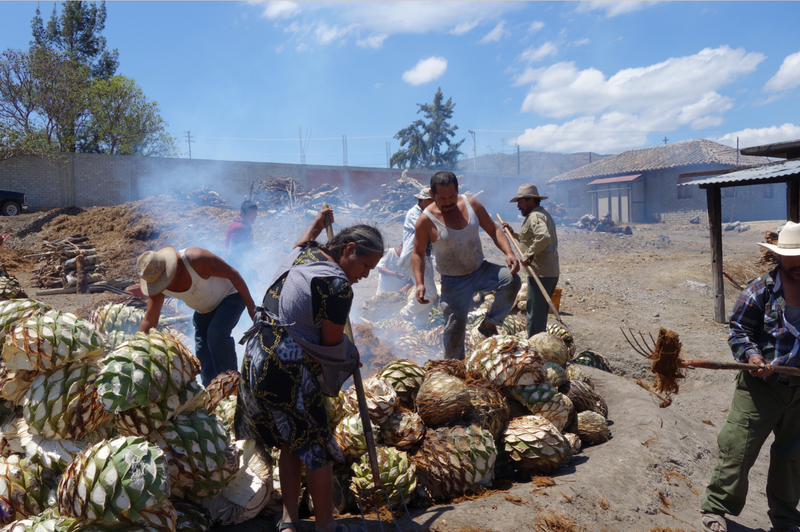 People working on the First roast at the new palenque in the outside oven