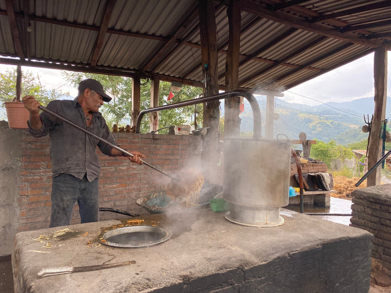 Florian swapping out the bagazo from the first distillation of mezcal