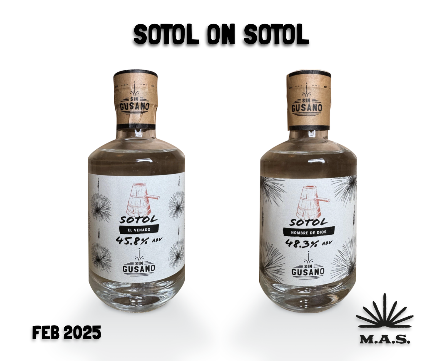 two bottle of Sotol Mezcal, this is a poster for the February 2025 edition of the Mezcal Library