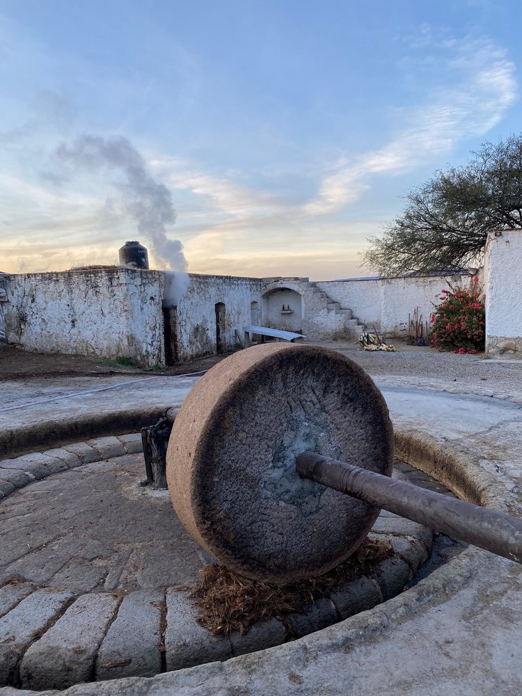 A stone tahone crushing pina to make mezcal while steam rises from the oven in the building behind