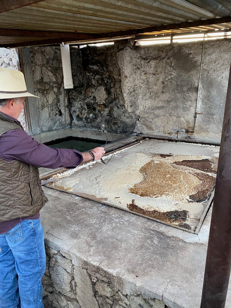 Pedro explaining his unique ferment for mezcal