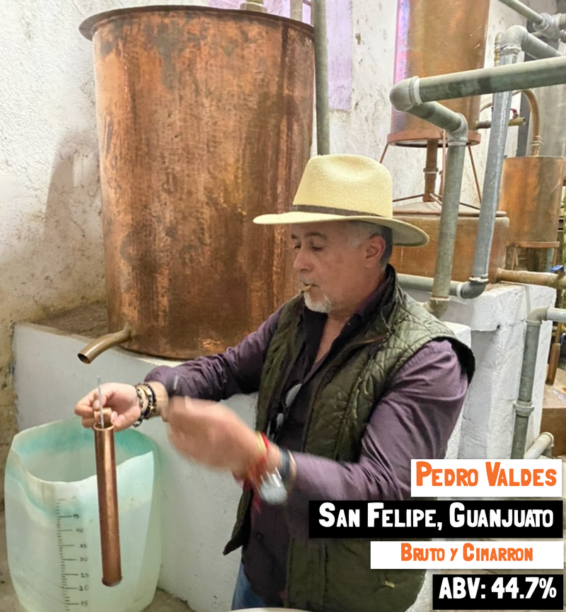 Bruto y cimarron - san felipe, Guanajuato mezcal