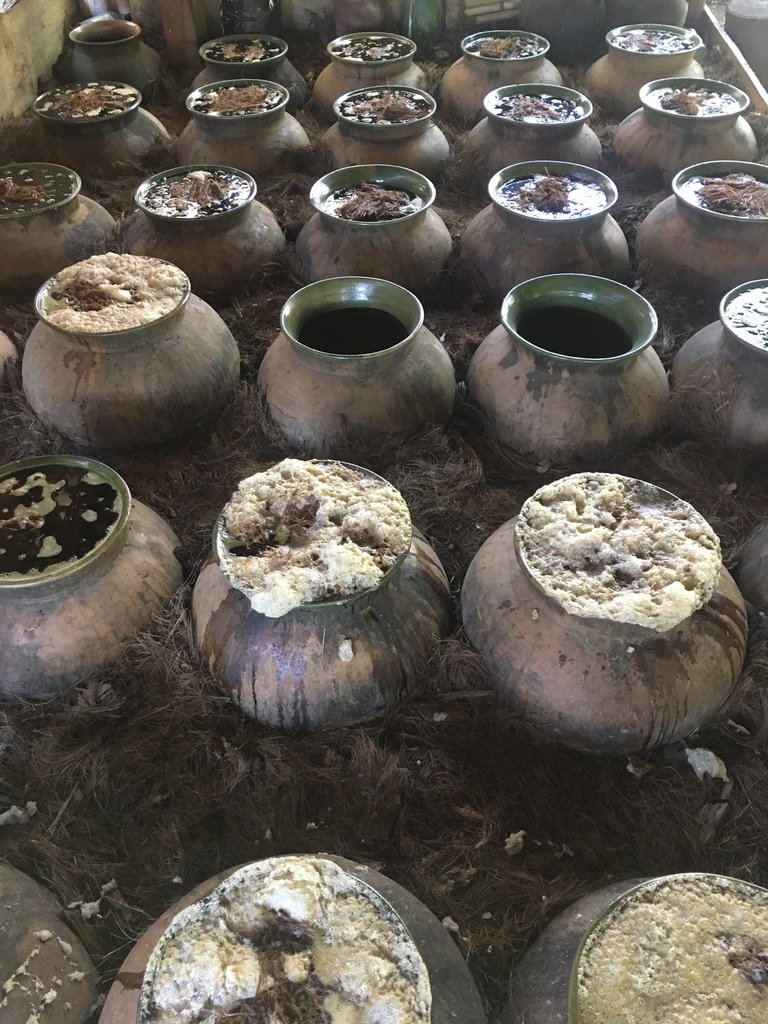Clay pots foaming during fermentation of mezcal