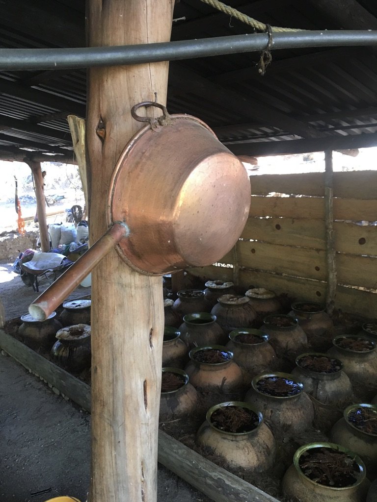 A copper pot hanging in the room filled with clay pots full of fermenting agave