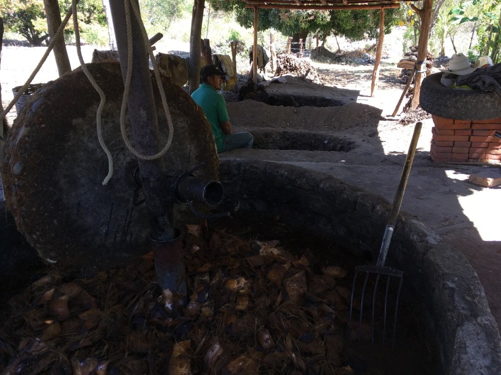A tahona stone Milling agave for mezcal