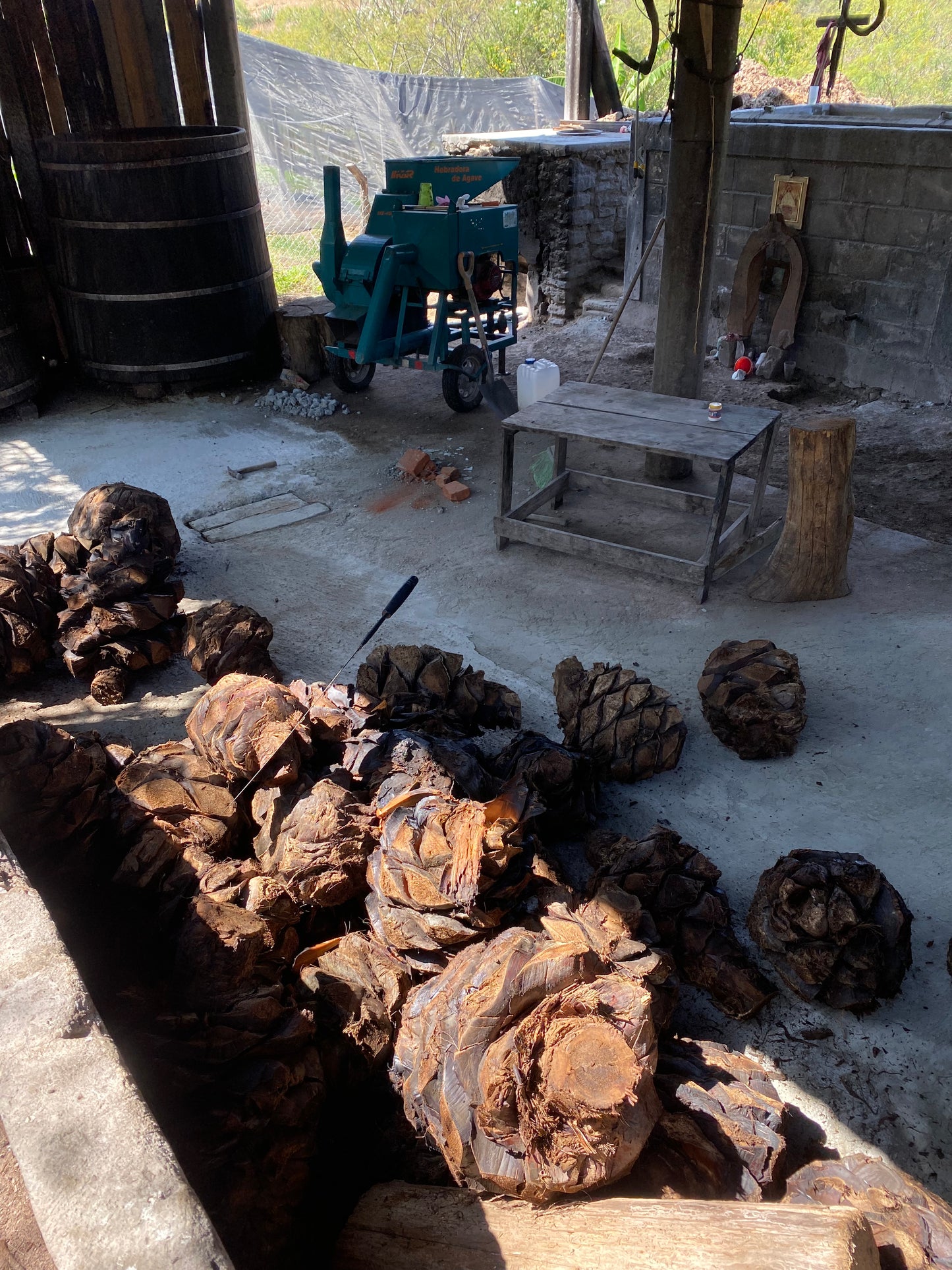 Tobala - San Luis Amatlán (Nov'22)