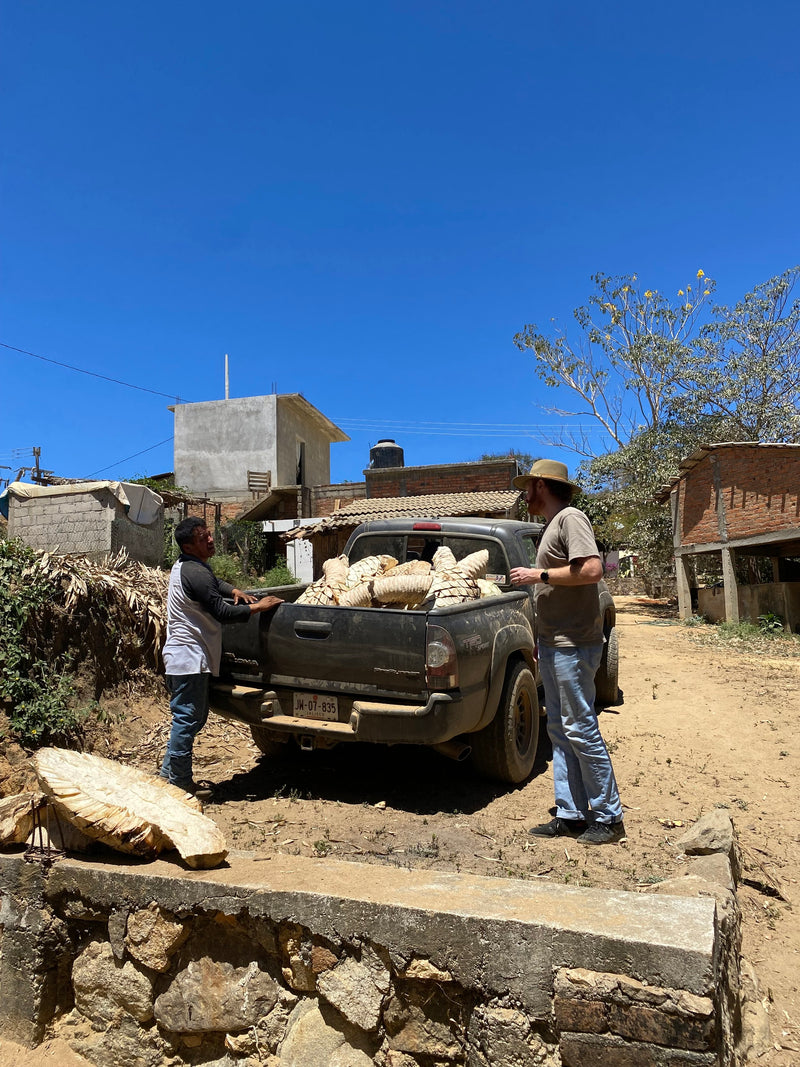 Agave arriving at the Vinata ready to make some mezcal