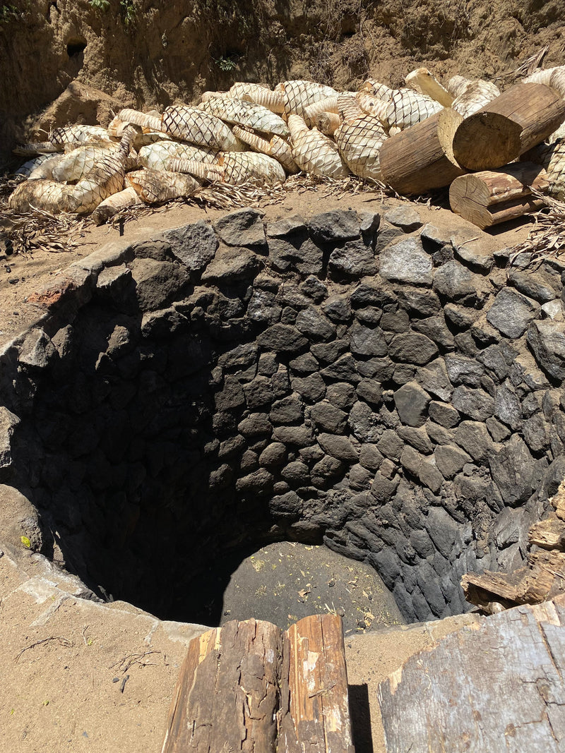 Pedro’s deep oven for cooking pinas for mezcal