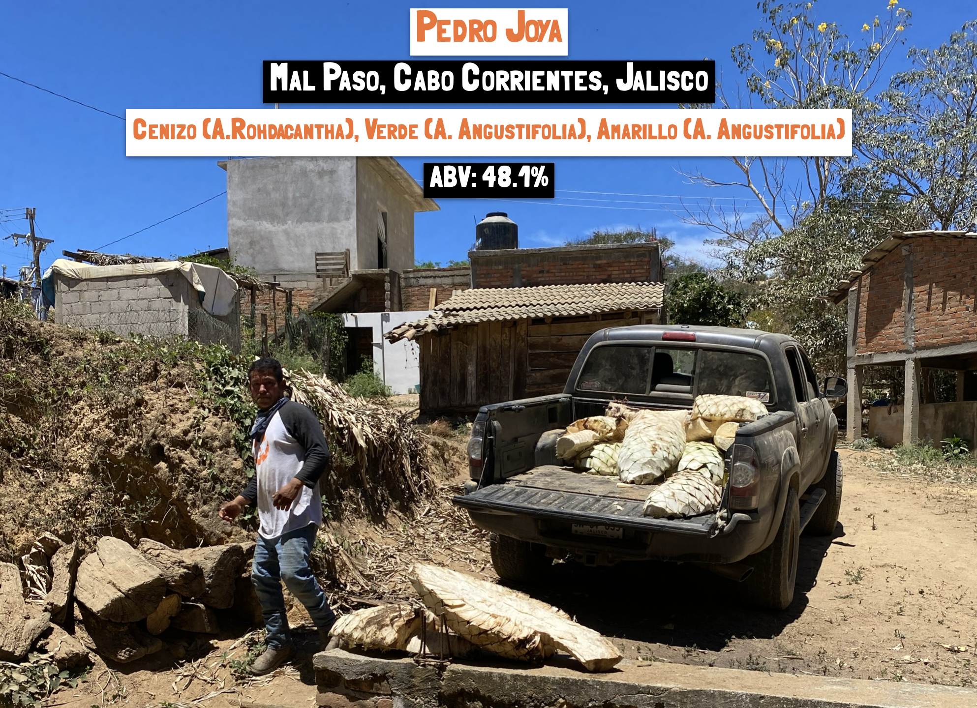 main image for the Raicilla Costa 2023 mezcal library