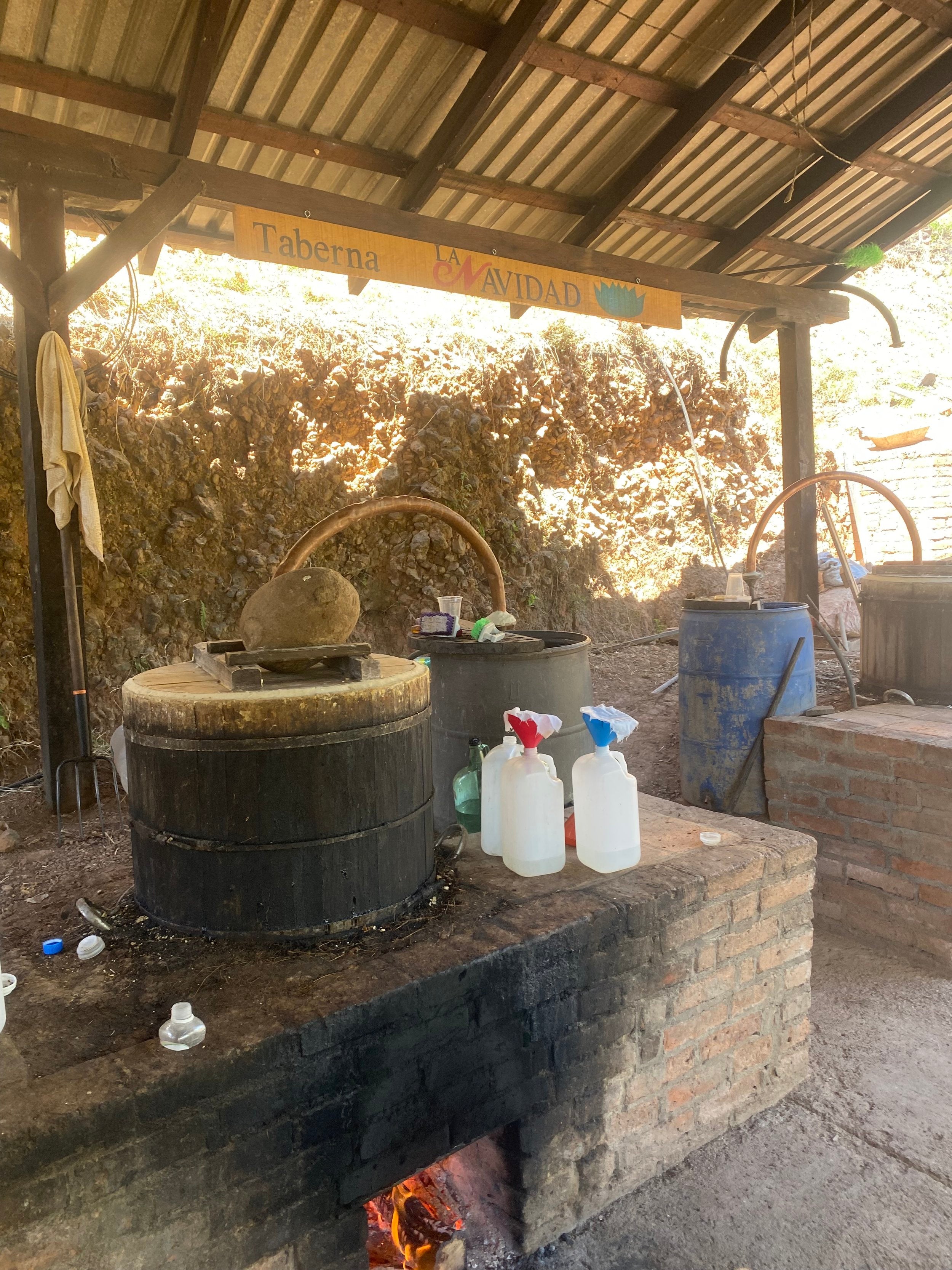 Masa sealed for making mezcal