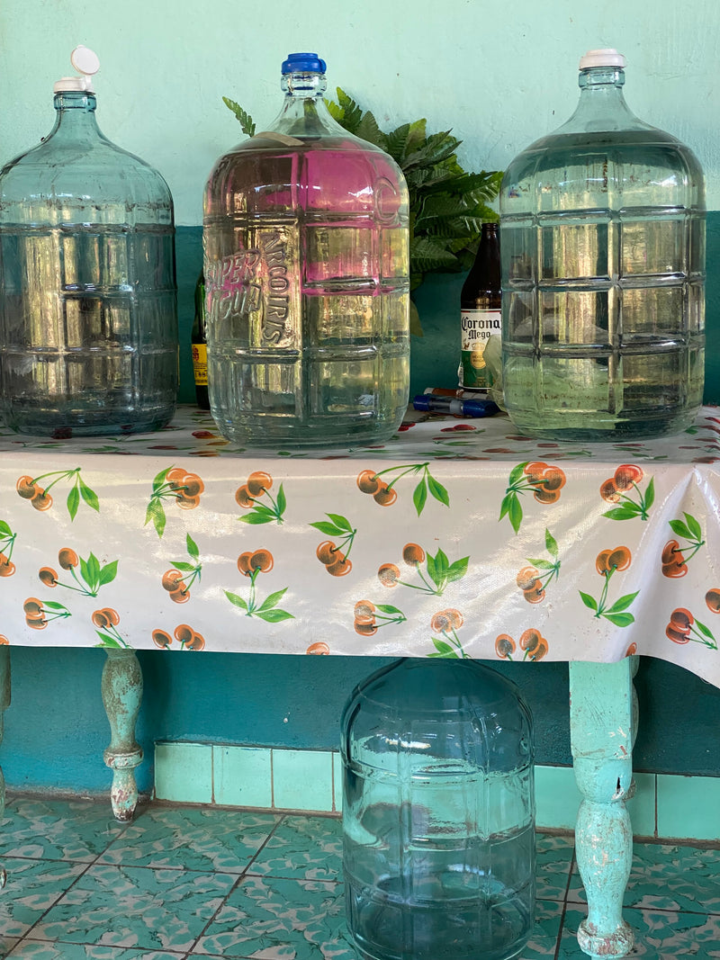 Sergio keeps all his batches in glass from the moment of distillation. As it happens, each 200 litre fermentation drum roughly fills a single 19 litre glass garrafon with finished raicilla