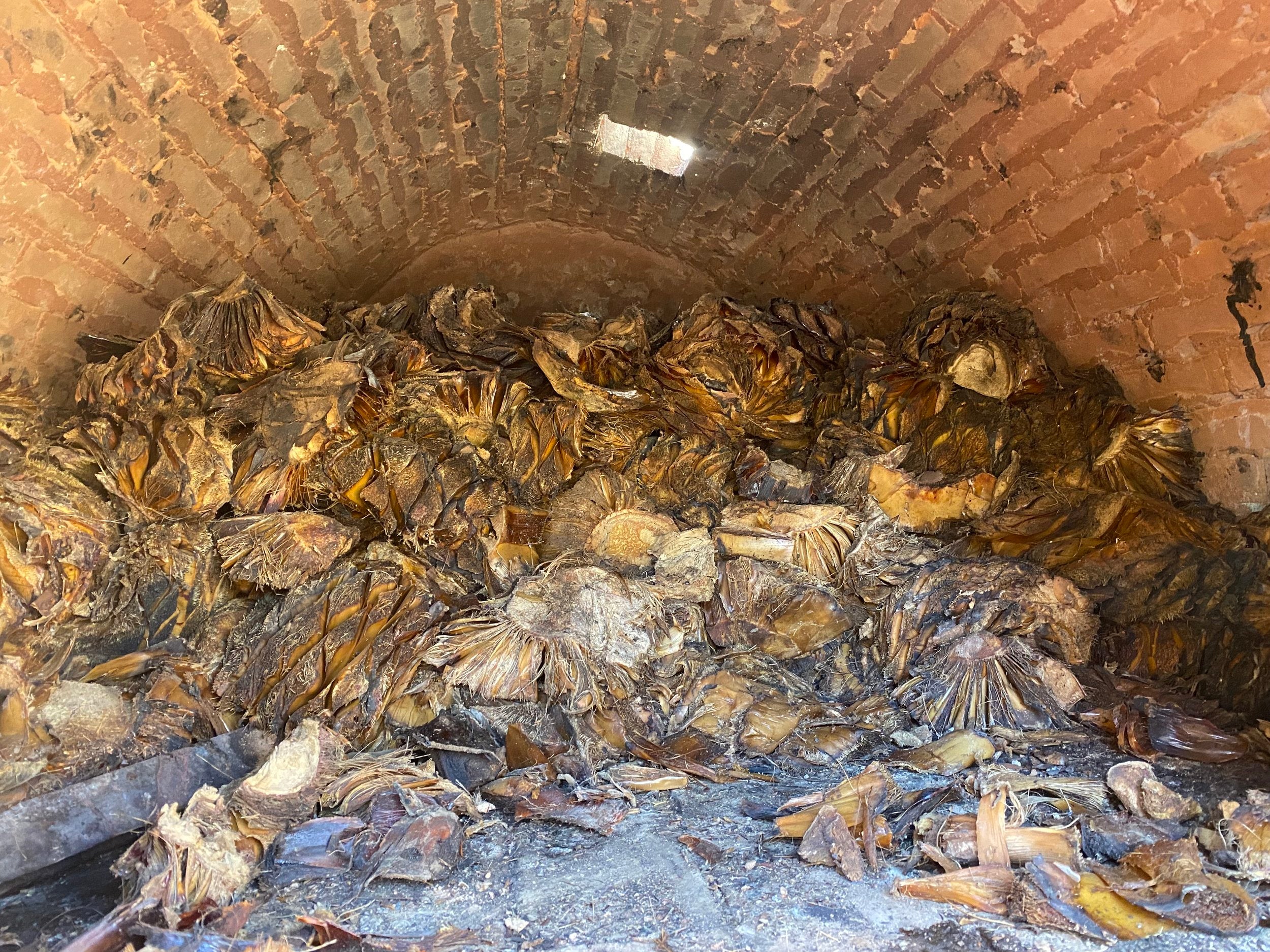 The cooked and crushed agave was then fermented with well water in various 200 litre capacity plastic drums before being double distilled.