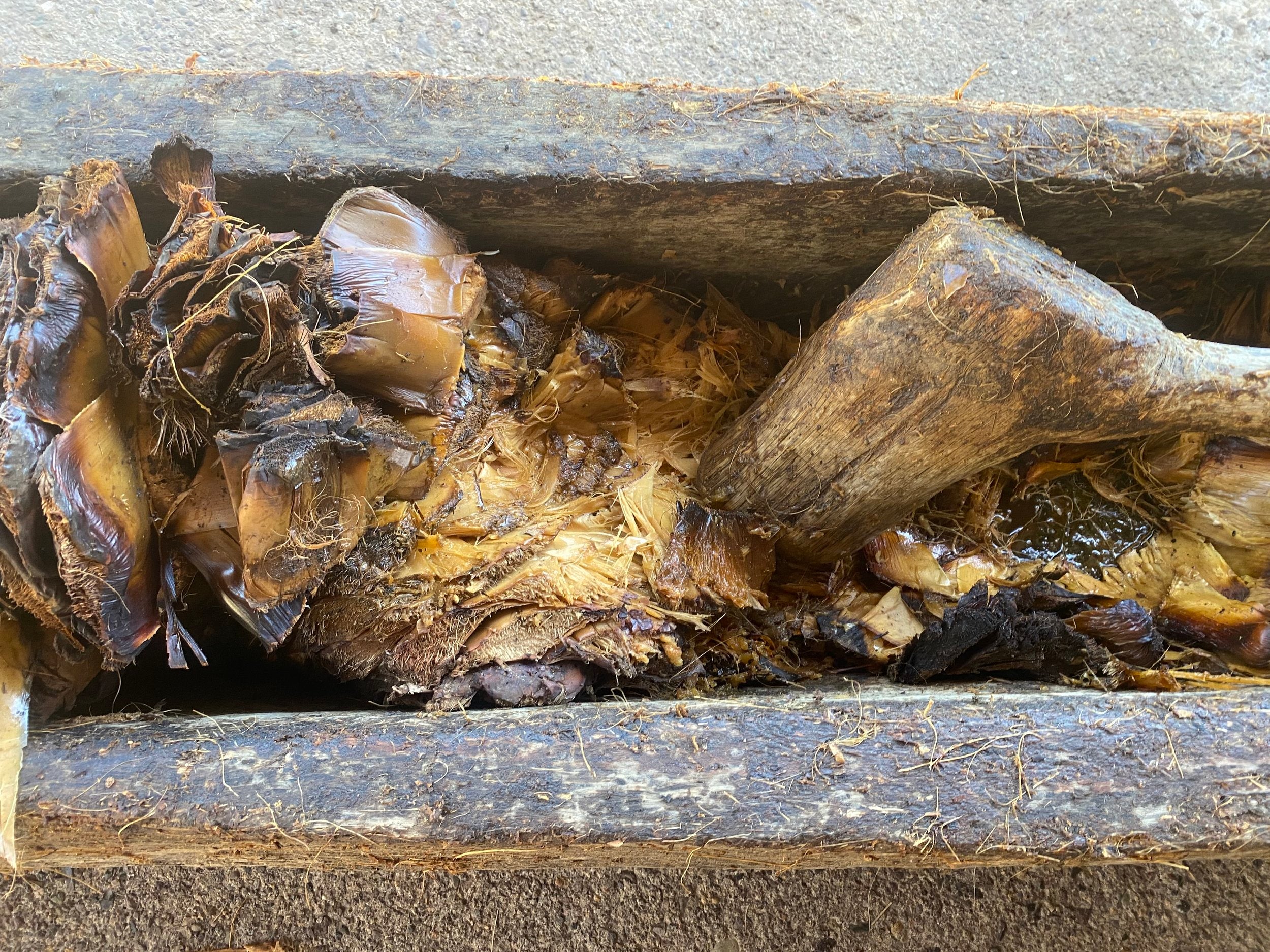 Wooden mallet & dugout canoe