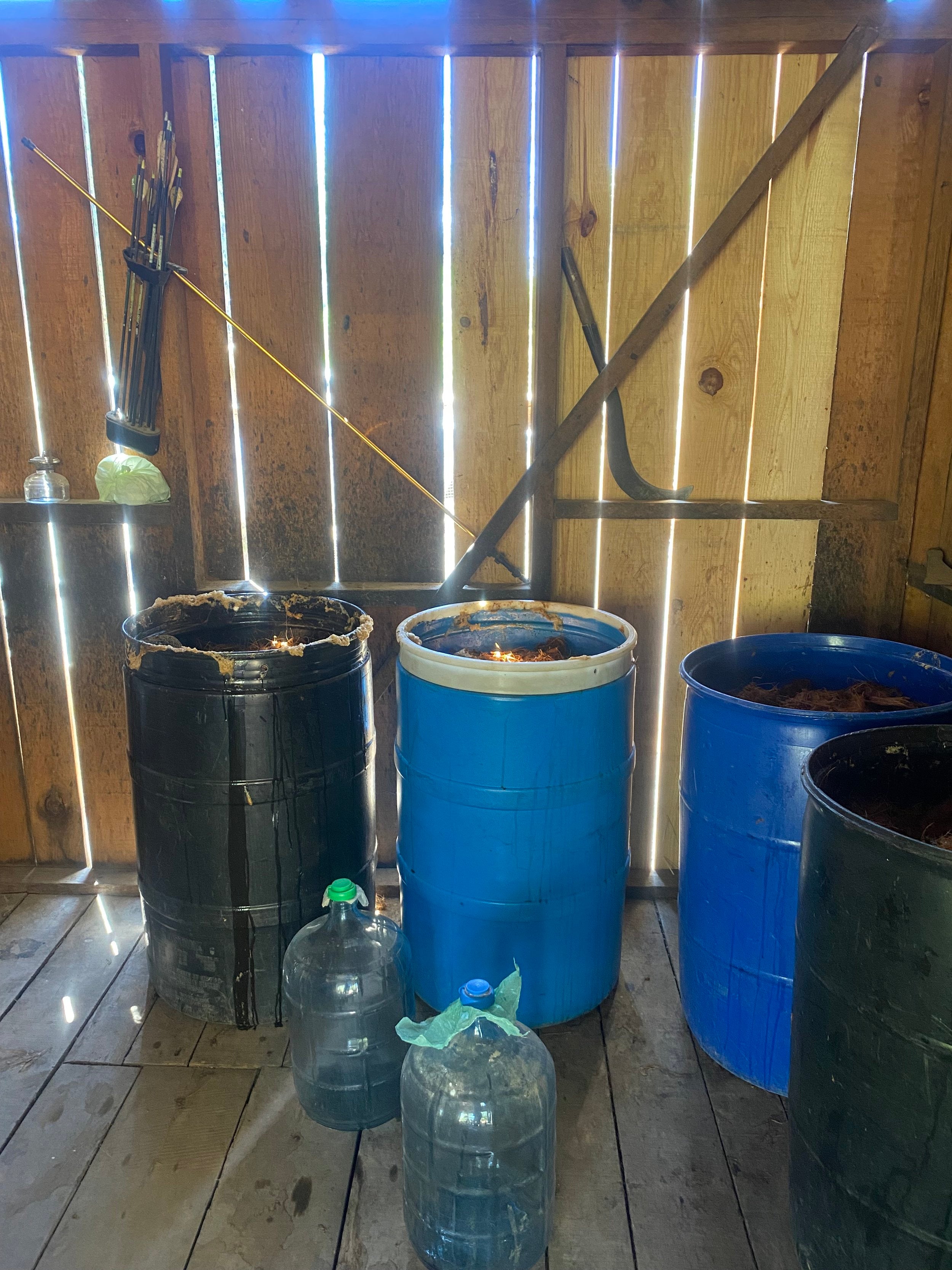 barrels for Fermenting Mezcal