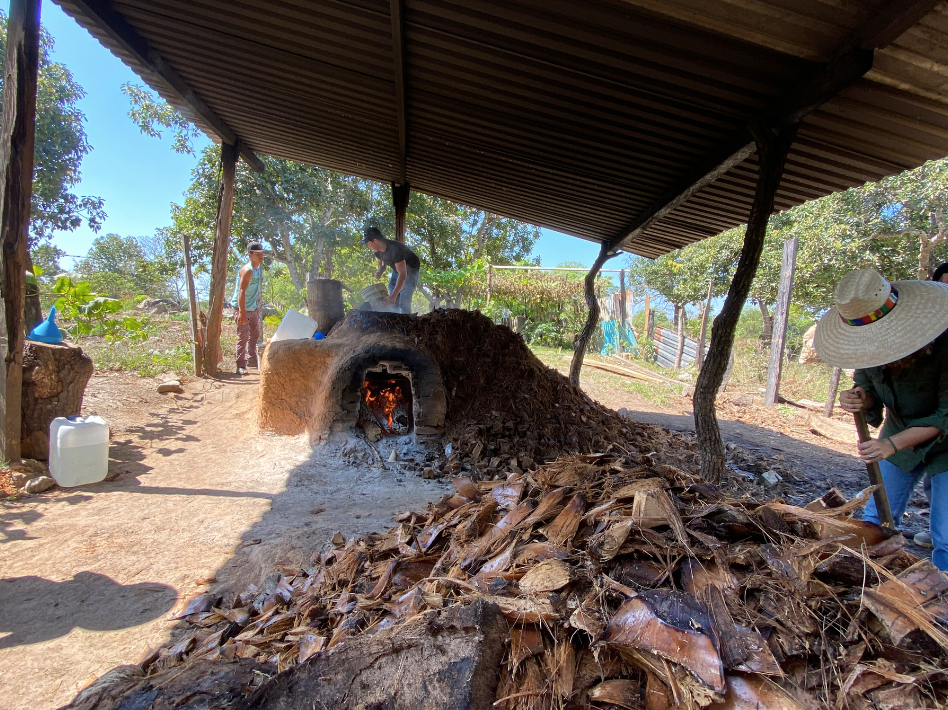 Main image for the Espadín - San jose rio minas mezcal page on the Sin Gusano project website