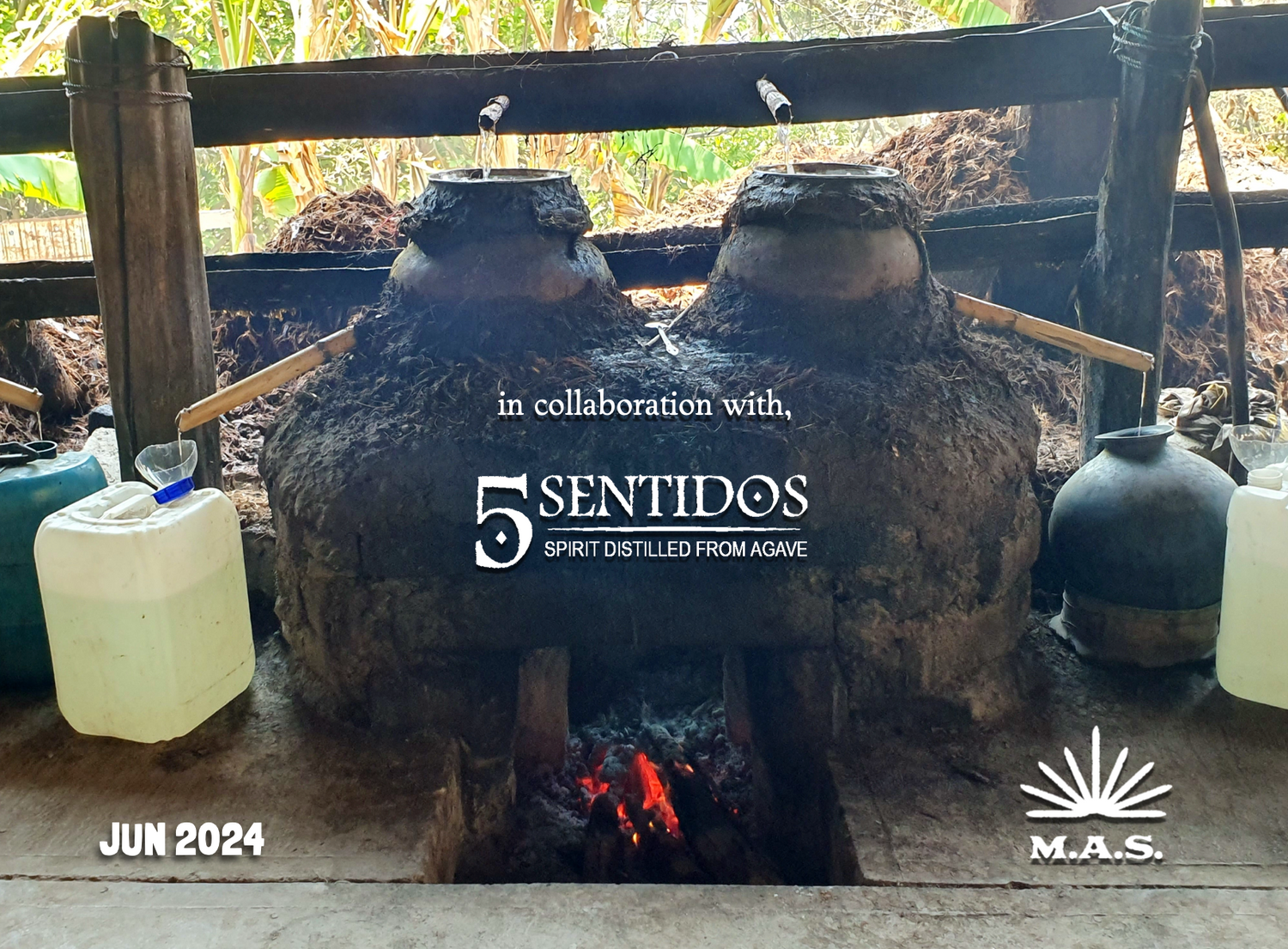chambers used for mezcal production. This is a poster for the June 2024 edition of the Mezcal Appreciation Society, part of the Sin Gusano project