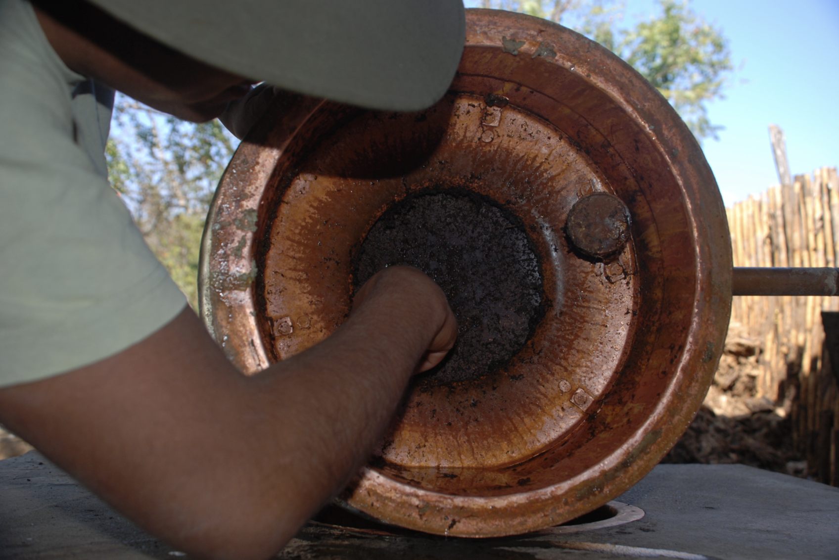 Looking up into the cooling chamber and its plate of a still used for making mezcal