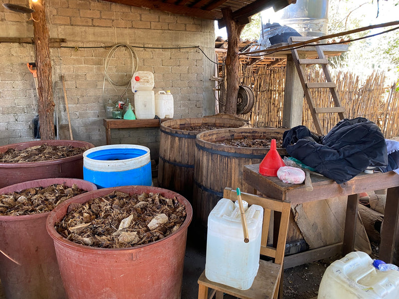 cooked and crushed agave in both wooden and plastic tinas along with local spring water for mezcal production 