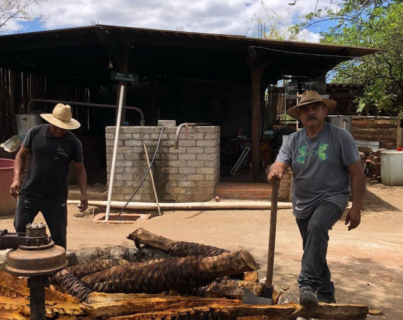Luis & Sergio preparing the mill for mezcal production