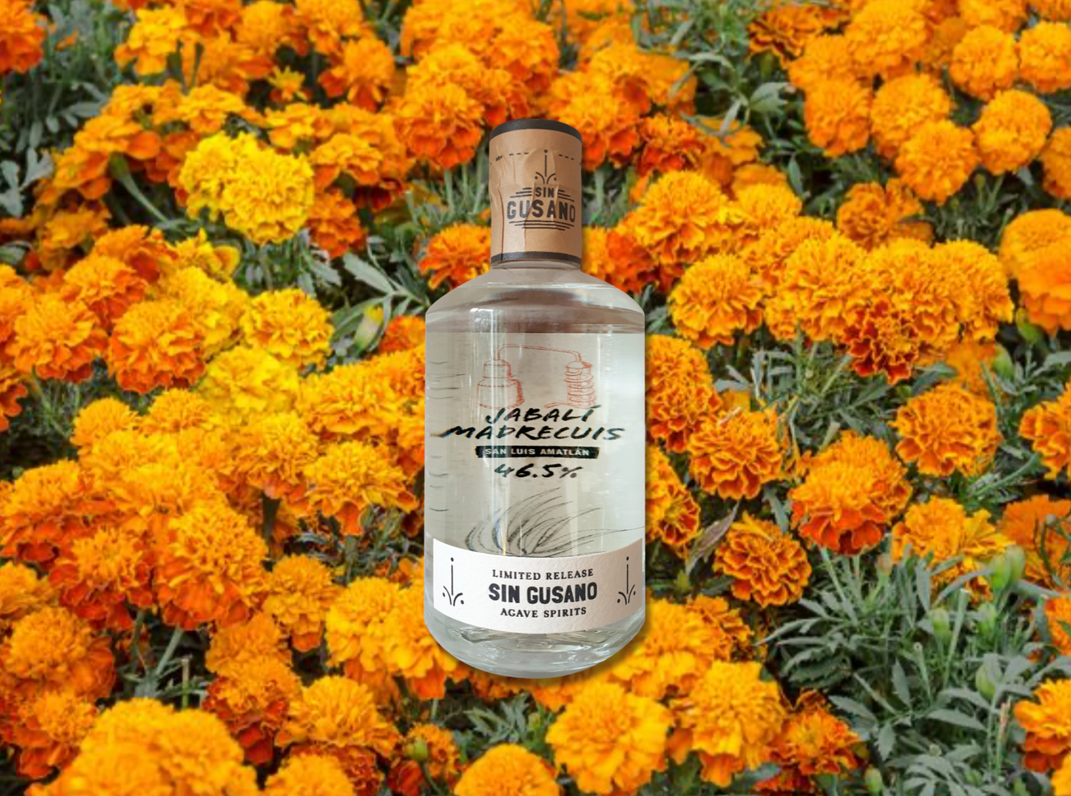 a bottle of the Jabali Madrecuis mezcal exclusively bottled for the Sin Gusano project