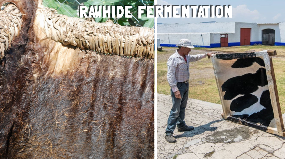 a close up of Rawhide used for fermentation of mezcal