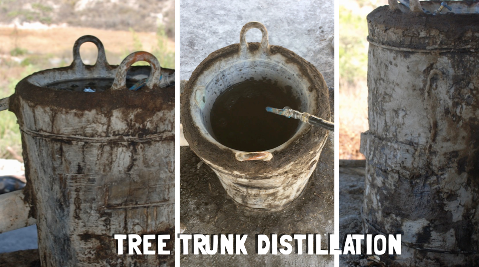 three containers showing tree trunk distillation