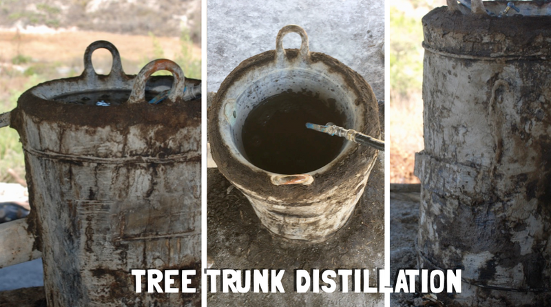 three containers showing tree trunk distillation