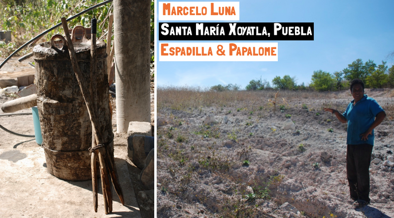 A man in a field ready for Agave to be planted